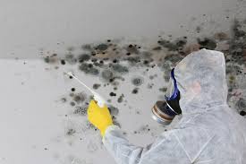 Best Mold Odor Removal Services in Reynoldsburg, OH